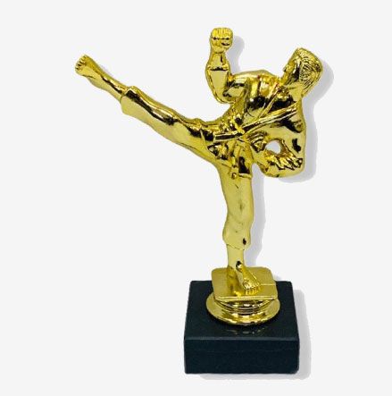 F-05 Gold karate Figurine Trophy with Marble Base