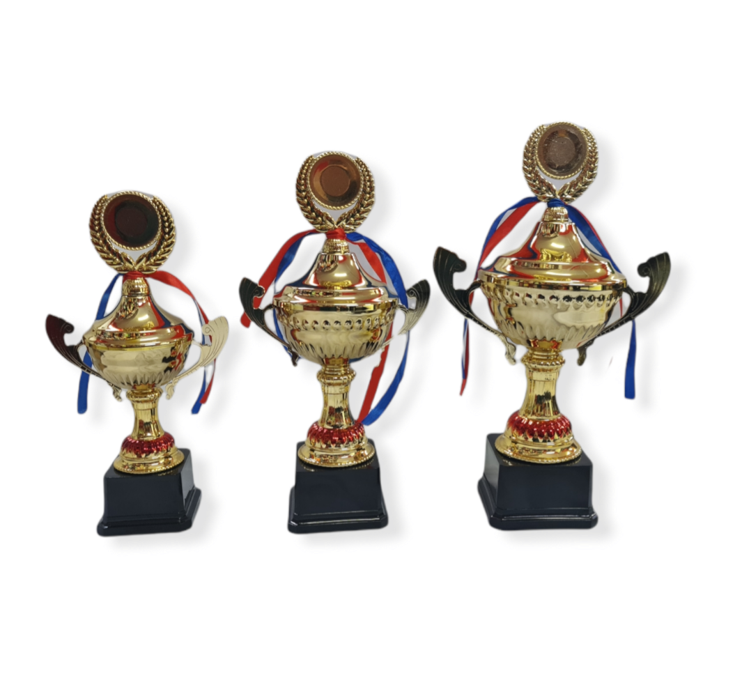 T-15 Gold Trophy cup