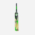 Ronex Cricket Bat (Indoor) Sixer