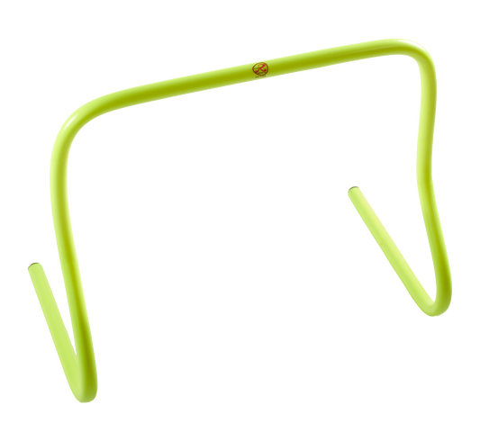 Training Agility Hurdles