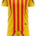 Soccer Kit RC-720 - Full Team Combo Set of 15